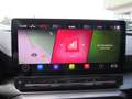 CUPRA Formentor 2.5TSI VZ5 4Drive OPF DSG Leder Panorama Grau - thumbnail 20