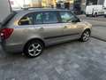 Skoda Fabia Wagon 1.6 tdi cr Ambition (style) 75cv - thumbnail 3