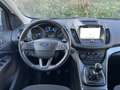 Ford Kuga 1.5 tdci Business S&S 2wd 120cv Bianco - thumbnail 8