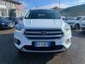 Ford Kuga 1.5 tdci Business S&S 2wd 120cv Bianco - thumbnail 2