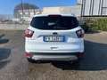 Ford Kuga 1.5 tdci Business S&S 2wd 120cv Bianco - thumbnail 5
