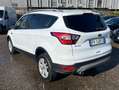 Ford Kuga 1.5 tdci Business S&S 2wd 120cv Bianco - thumbnail 6