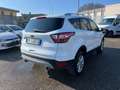 Ford Kuga 1.5 tdci Business S&S 2wd 120cv Bianco - thumbnail 4