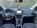 Ford Kuga 1.5 tdci Business S&S 2wd 120cv Bianco - thumbnail 7
