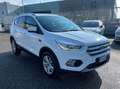Ford Kuga 1.5 tdci Business S&S 2wd 120cv Bianco - thumbnail 3