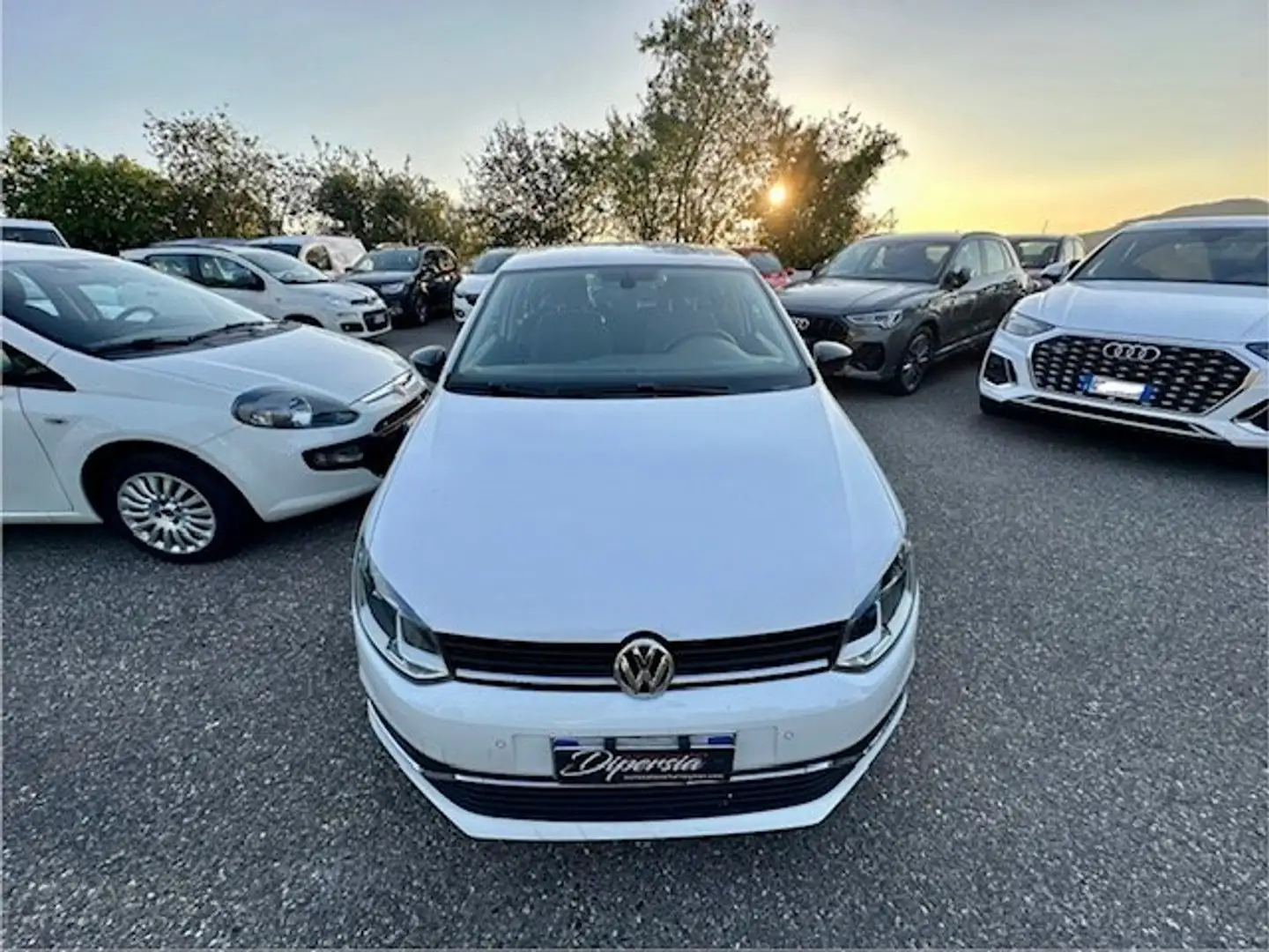 Volkswagen Polo 1.4 TDI 90CV 5p. Fresh Bianco - 2