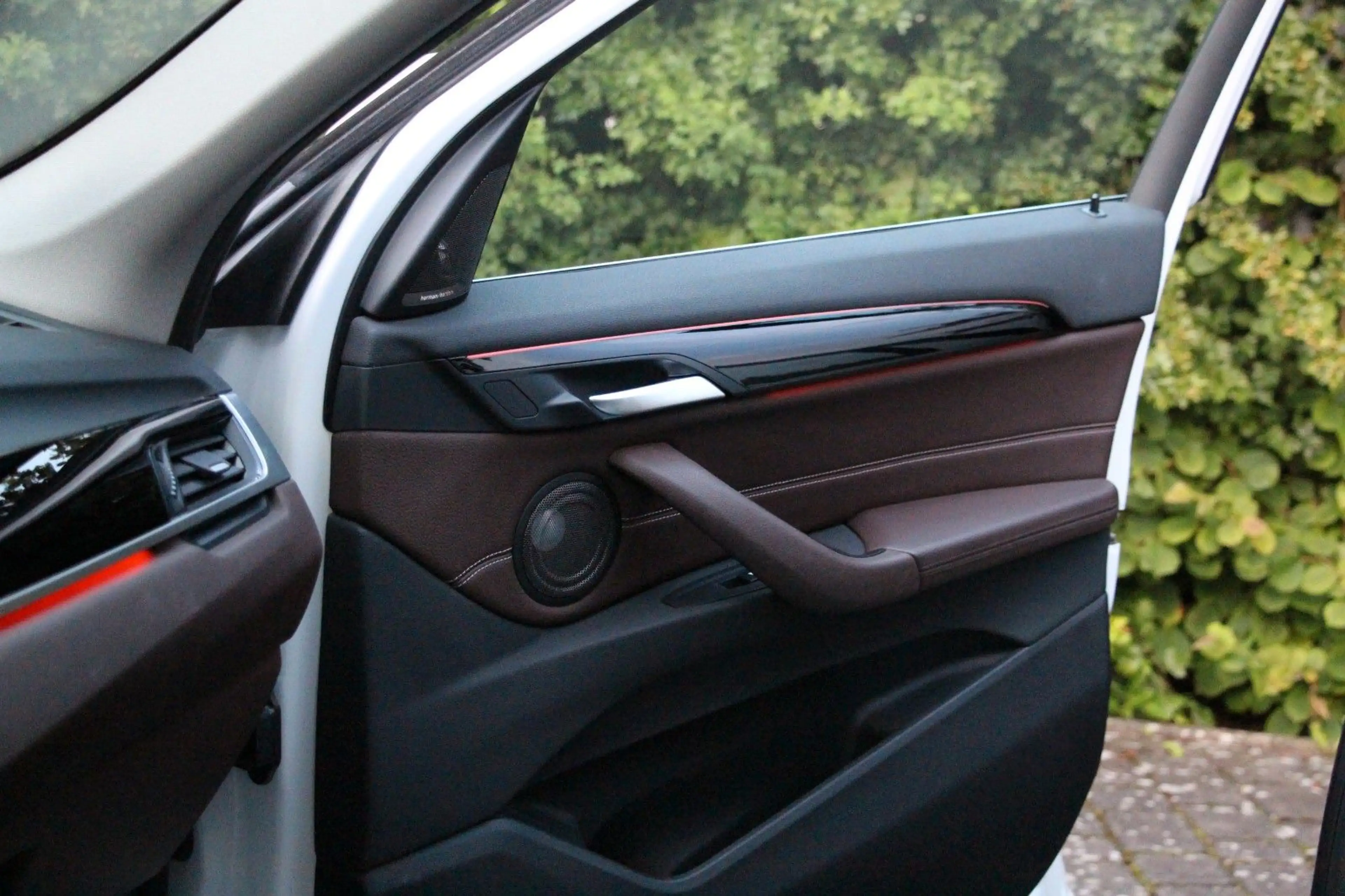 BMW X1 xDrive 25 d xLine AHK/Ambiente/HUD/Leder/Navi — photo 10