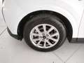 Ford Tourneo Courier II 1.0 ecoboost 125cv Titanium IVA INCLUSA Blanc - thumbnail 5