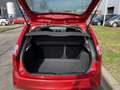 Ford Fiesta 1.3-8V Futura XL Nieuwe-APK Climate-Control Parkee Narancs - thumbnail 10