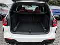 BMW X3 xDrive30d M-Sport AHK FLA DAB RFK adpt.FW Memory Blanc - thumbnail 21