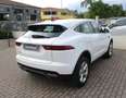 Jaguar E-Pace 2.0D I4 163 CV AWD Auto S - Pelle/Camera360 Blanco - thumbnail 4