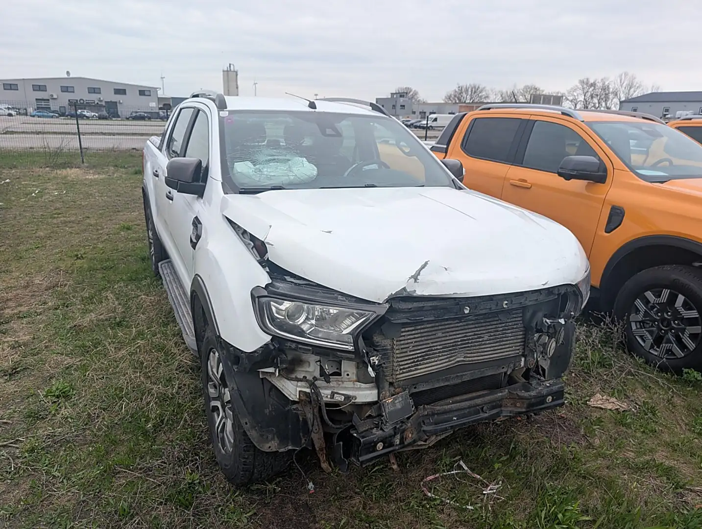 Ford Ranger Ranger Wildtrak 4x4 3,2 TDCi Aut. Frontschaden ... Weiß - 2