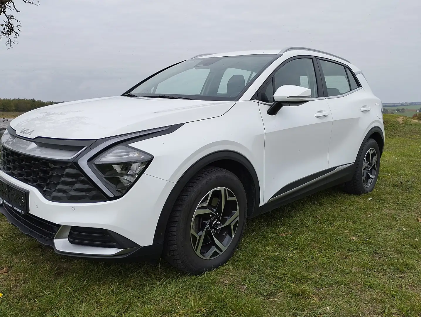 Kia Sportage 1,6 TGDI Silber Weiß - 2