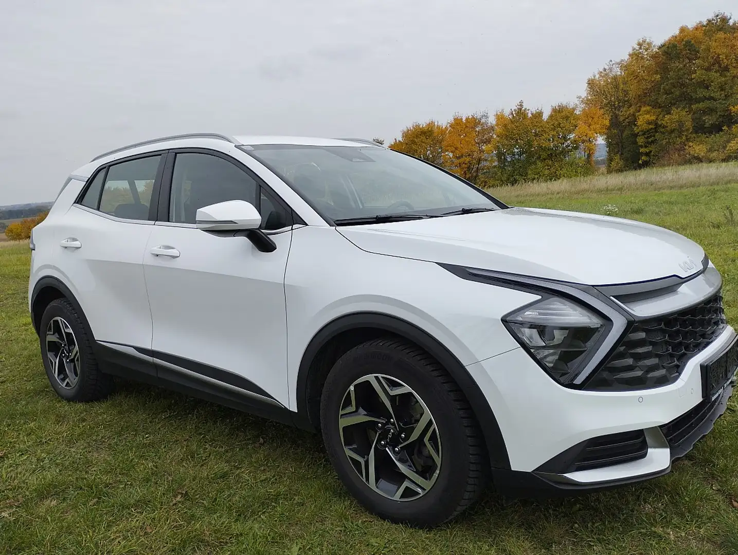 Kia Sportage 1,6 TGDI Silber Weiß - 1