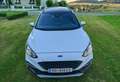 Ford Focus EcoBoost Hybrid Active X AHV/PANO/LED Weiß - thumbnail 6
