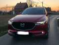 Mazda CX-5 2.0i SKYACTIV-G 2WD Privilege Edition Rouge - thumbnail 9