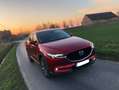 Mazda CX-5 2.0i SKYACTIV-G 2WD Privilege Edition Rouge - thumbnail 11