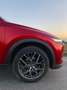 Mazda CX-5 2.0i SKYACTIV-G 2WD Privilege Edition Rouge - thumbnail 23