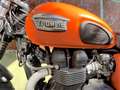 Triumph Scrambler 900 Carburatori Orange - thumbnail 24