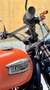 Triumph Scrambler 900 Carburatori Naranja - thumbnail 19