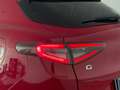 Alfa Romeo Stelvio 2.0 TRIBUTO ITALIANO - 2024 | Q4 279CV Rood - thumbnail 8