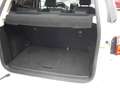 Ford EcoSport 1.0 EcoBoost ST-LINE , Navi ,  Anh. Kupplung Blanc - thumbnail 13