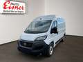 Fiat Ducato MAXI KW L2H2 3500 140MT Weiß - thumbnail 2