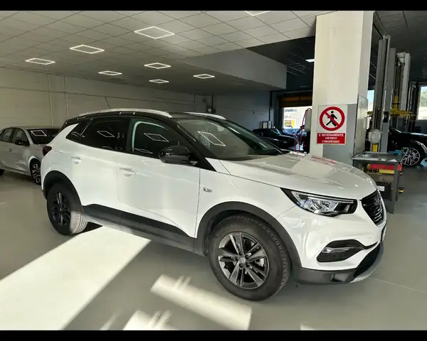 Opel Grandland X view 2