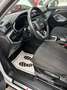 Audi Q3 Q3 35 TDI quattro S-line S-tronic S-line Weiß - thumbnail 13