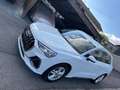 Audi Q3 Q3 35 TDI quattro S-line S-tronic S-line Weiß - thumbnail 1