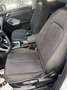 Audi Q3 Q3 35 TDI quattro S-line S-tronic S-line Weiß - thumbnail 12