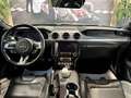 Ford Mustang Fastback 5.0 Bullitt V8 GT 460cv *Numerata* Verde - thumbnail 11