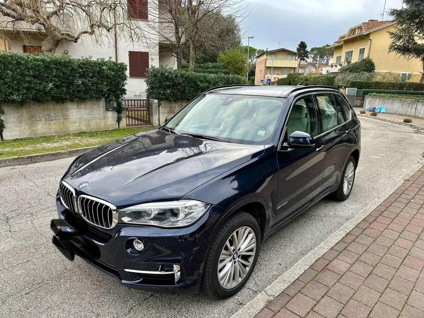 BMW X5 X5 XDRIVE30d Luxury 258cv auto Blu/Azzurro - 1