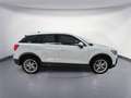 Audi Q2 35 TDI S tronic advanced quattro Bluetooth Kl Weiß - thumbnail 5