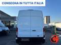 Ford Transit 350 2.0TDCI(L3H3)SENSORI-CRUISE-ASSISTENZA FRENATA Bianco - thumbnail 6