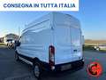 Ford Transit 350 2.0TDCI(L3H3)SENSORI-CRUISE-ASSISTENZA FRENATA Bianco - thumbnail 5