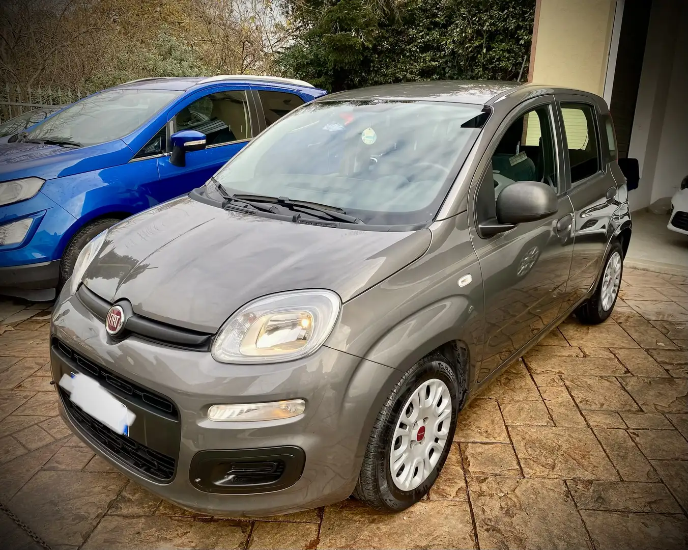 Fiat Panda 1.0 hybrid Easy Connect s&s 70cv - 2