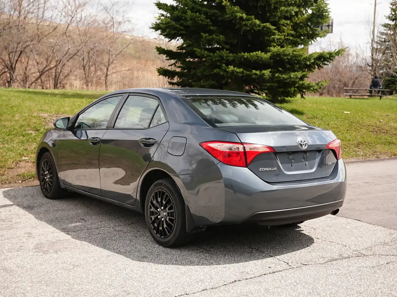 Toyota Corolla снимка Toyota Corolla