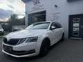 Skoda Octavia Combi 2,0 Style Limited TDI 4x4 DSG - thumbnail 1