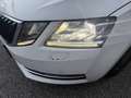 Skoda Octavia Combi 2,0 Style Limited TDI 4x4 DSG - thumbnail 14