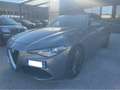 Alfa Romeo Giulia 2.2 BUSINESS 150CV Argento - thumbnail 3
