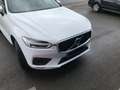 Volvo XC60 XC60 D3 R-Design R-Design Weiß - thumbnail 4