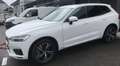 Volvo XC60 XC60 D3 R-Design R-Design Weiß - thumbnail 6