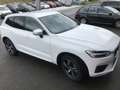 Volvo XC60 XC60 D3 R-Design R-Design Weiß - thumbnail 5