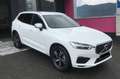 Volvo XC60 XC60 D3 R-Design R-Design Weiß - thumbnail 2