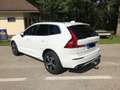 Volvo XC60 XC60 D3 R-Design R-Design Weiß - thumbnail 7