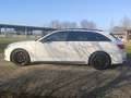 Audi A4 Avant 45 mhev Sport 250cv s-tronic s line *TETTO* Blanco - thumbnail 4