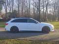 Audi A4 Avant 45 mhev Sport 250cv s-tronic s line *TETTO* Blanco - thumbnail 3