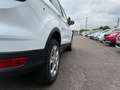 Ford Kuga Trend Top Zustand! TÜV bis 04/2027! Weiß - thumbnail 24