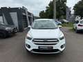 Ford Kuga Trend Top Zustand! TÜV bis 04/2027! Weiß - thumbnail 8